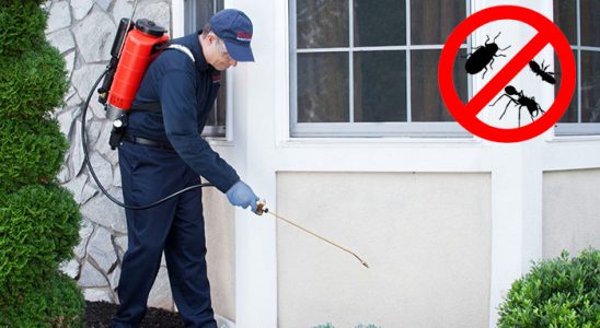 Havza Akrep İlaçlama böcek ilaçlama ve haşere kontrolü — ilaclama-tr.com